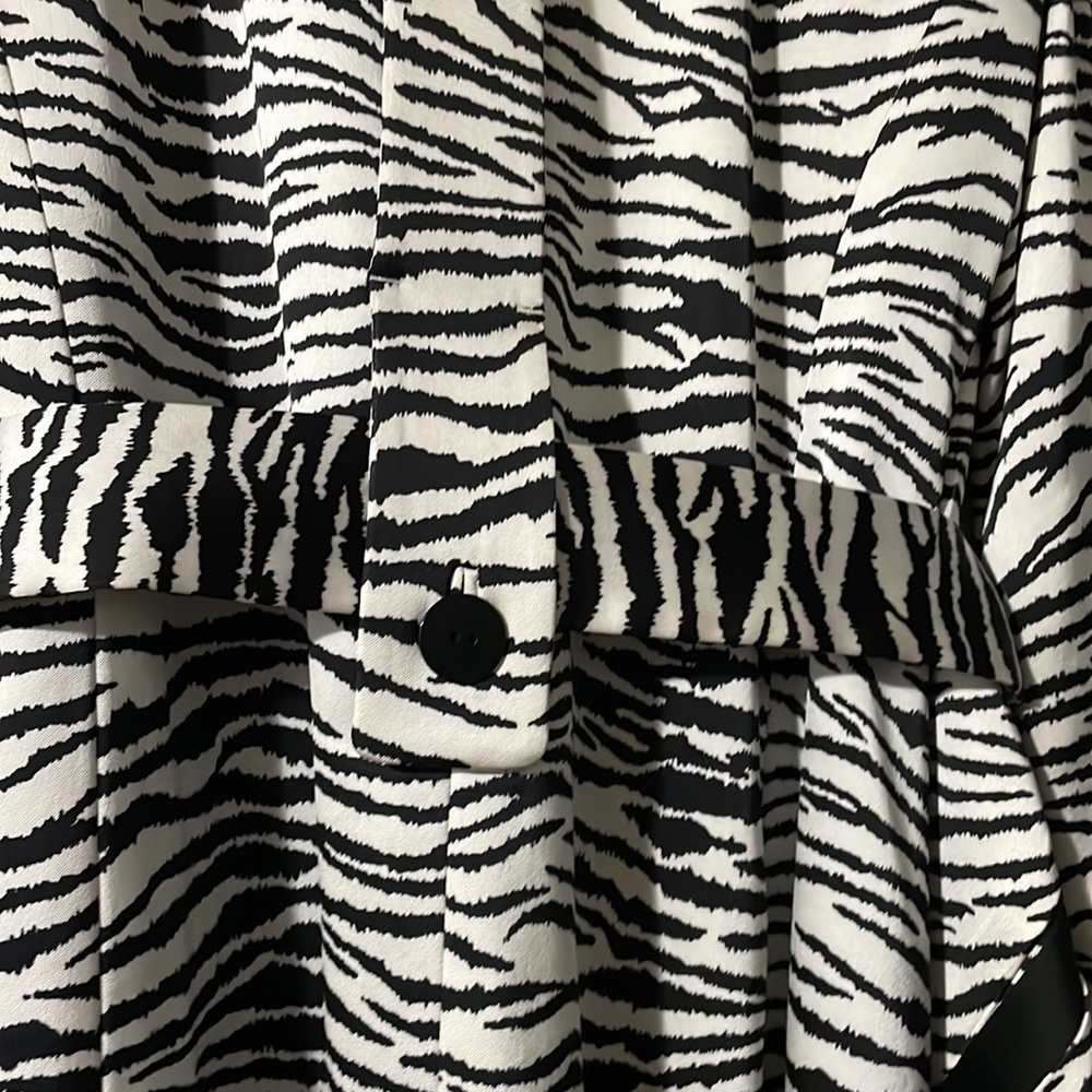 Classiques Entier - image 7